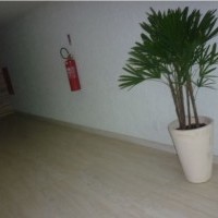 Ver anúncio COD ref#828