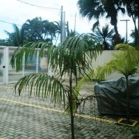 Ver anúncio COD ref#905