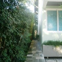 Ver anúncio COD ref#906