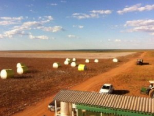 Ver anúncio COD ref#1342