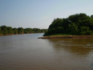 Ver anúncio COD ref#1345