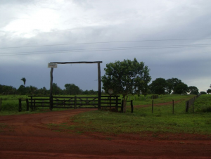 Ver anúncio COD ref#1346