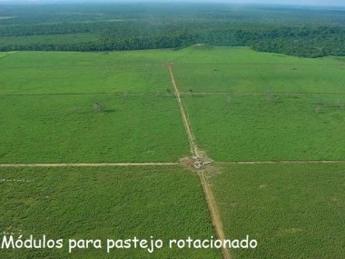 Ver anúncio COD ref#1371