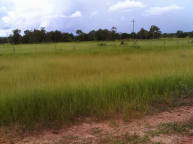 Ver anúncio COD ref#1372