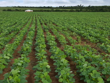 Ver anúncio COD ref#1374