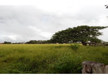 Ver anúncio COD ref#1411