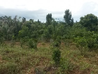 Ver anúncio COD ref#1595