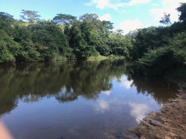 Ver anúncio COD ref#1845