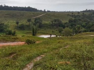 Ver anúncio COD ref#1925