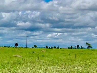 Ver anúncio COD ref#1965