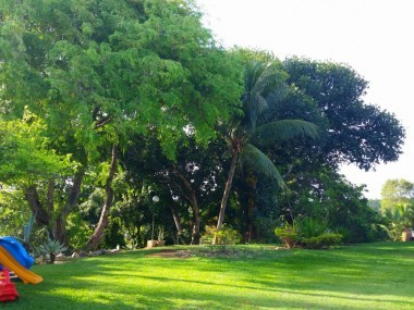 Ver anúncio COD ref#2008 Ver anúncio COD ref#2008