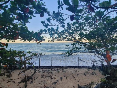 Ver anúncio COD ref#2101