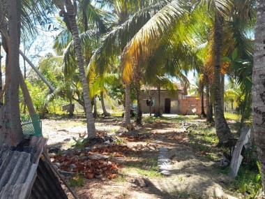 Ver anúncio COD ref#2119