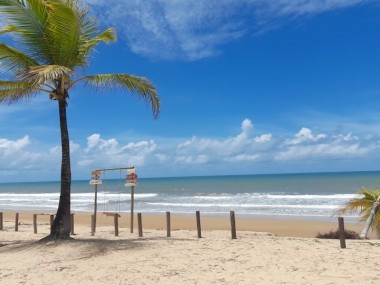 Ver anúncio COD ref#2121