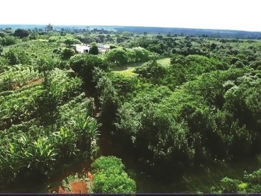 Ver anúncio COD ref#2191