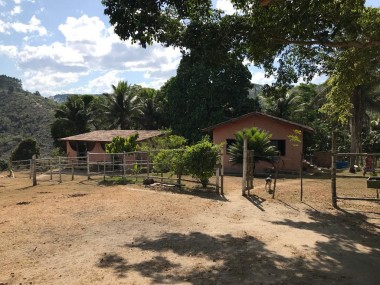 Ver anúncio COD ref#2197