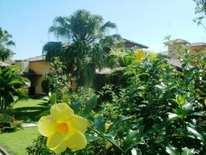 Ver anúncio COD ref#417