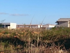 Ver anúncio COD ref#422